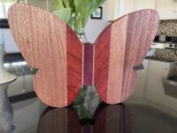 butterfly-tray-2